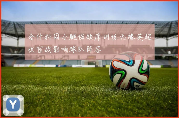舍什科因小腿伤缺席训练无缘英超收官战影响球队阵容